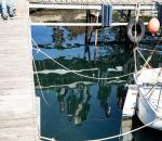images/Foto Giornata del Mare e della Cutlura Marina 2022/_A9A0268.jpg